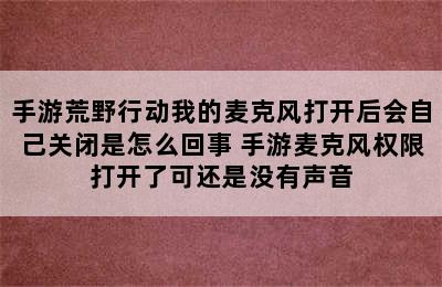 手游荒野行动我的麦克风打开后会自己关闭是怎么回事 手游麦克风权限打开了可还是没有声音